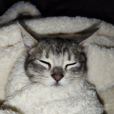 FunkySenpaiOf's profile picture. Hi, I'm a producer of Future Funk and music in general 💮