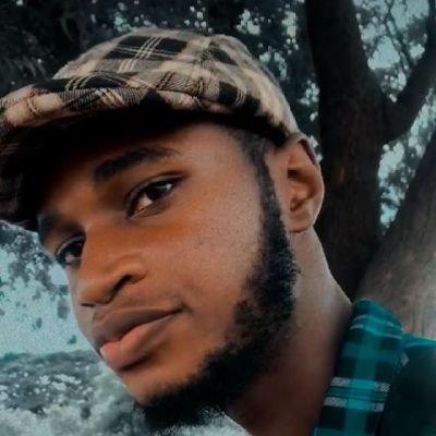 Ibrahim43781544's profile picture. multi-purpose