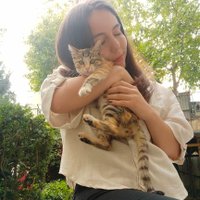 ÜNZÜLE (@dalkilicunzule) 's Twitter Profile Photo ÜNZÜLE (@dalkilicunzule) 's Twitter Profile Photo