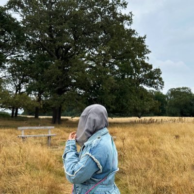 𓂆 | 𝘕𝘰𝘵 𝘺𝘰𝘶𝘳 𝘵𝘺𝘱𝘪𝘤𝘢𝘭 𝘨𝘦𝘮𝘪𝘯𝘪.