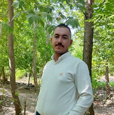 MabastMajd's profile picture. 