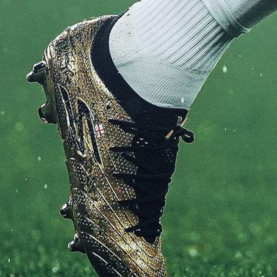 SportsMoko63731's profile picture. 