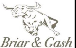 Briar & Gash Limited provides Management Consultancy, Project Mgt, Business Process Design and Re-Engineeing. We also own Lorulo.com fashion & networking site!