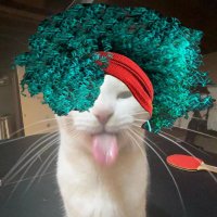 schmix (@nomixlol) 's Twitter Profile Photo schmix (@nomixlol) 's Twitter Profile Photo