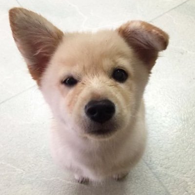 johanontwt's profile picture. ☆