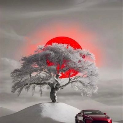 人生は毎日私たちに多くのことを考えさせます。その教訓を活かすには、賢く、同時に敏感でなければなりません。愛を広めて世界を癒しましょう🌎❤️🌹