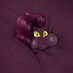 Unknown-Cat (@calicomeow2) Twitter profile photo