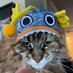 PdLiam 🐹 (@liamward1281936) Twitter profile photo