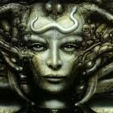 GoldenDogStep's profile picture. 