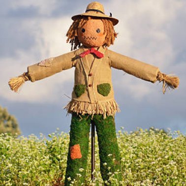 StrawmanArgs's profile picture. I am a strawman who makes strawman arguments. Look at me with a magnifying glass and my whole argument burns away!