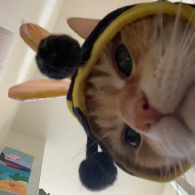 kthyvo's profile picture. i can’t believe it’s not butter