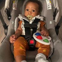 Mike Will (@michaelwil79648) 's Twitter Profile