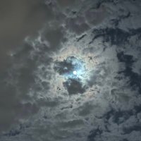 👾 (@7we7i) 's Twitter Profile