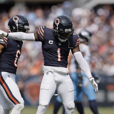 🐻⬇️