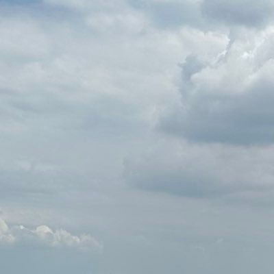 barbonmexicano's profile picture. MX