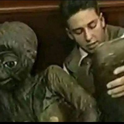 funtimefoxy488's profile picture. 