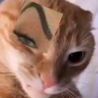 AlexSkinbyrd's profile picture. 