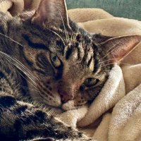 oneofmany (@timoneofmany) 's Twitter Profile