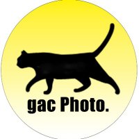 gac_Photo📷 (@gac_photo) 's Twitter Profile