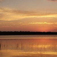 DuckyEMTP (@duckyemtp) 's Twitter Profile