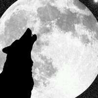 ManuSerrano61's profile picture. calma y conocimiento para los próximos años😎