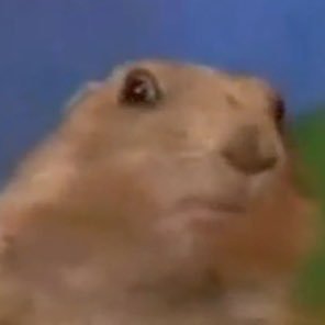 FranklinBe32624's profile picture. 