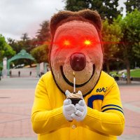 Oski Goes East (@oskigoeseast) 's Twitter Profile