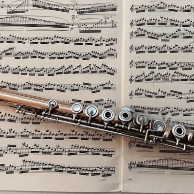 HazelxWang's profile picture. 