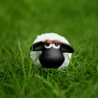 || Gombaaallan Domba ~(♥.♥)~ || CP: @iljit