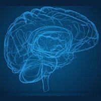 BTNC (@bigten_neuro) 's Twitter Profile Photo BTNC (@bigten_neuro) 's Twitter Profile Photo