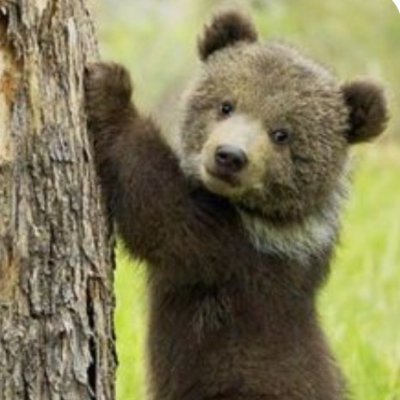 163/65/38/B
北海道生まれ、大阪府出身。
小5の秋、下校途中の温室の中で変なおっさんに変な行為されてから男子に興味持つようになりました。
趣味・嗜好∶食べ歩き、旅行、雑談、特撮の少年戦闘員、動画の視聴
⚠️国際ロマンス詐欺、投資詐欺と思われるアカウントからフォローされても、ブロックします。
