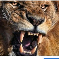 rungunyika (@rungunyika) 's Twitter Profile Photo