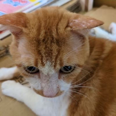 XcjhvWEG4R41880's profile picture. スマホ紛失の為、1からやり直し😂
再び無言フォロー失礼します。