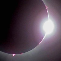 Mike Honcho (@colstradamus) 's Twitter Profile Photo