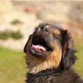 副業で収入を増やすコツを発信中。副業初心者に有益な情報を発信。少額ですが現金給付企画もしております! なくなり次第終了⇒ https://t.co/znHGPJ8Z59