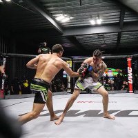 Aaron Cañarte (@aaroncanarte) 's Twitter Profile