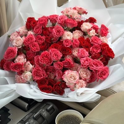 goiorte's profile picture. 