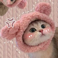 MiLo(Ø,G) (@millllooow) 's Twitter Profile