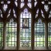 Yale University Library (@yalelibrary) Twitter profile photo