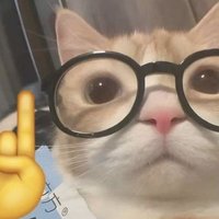 ᅠᅠᅠᅠ᧙C)აꞌ𓂅Ꞌ ࣪ (@rc_cherri) 's Twitter Profile