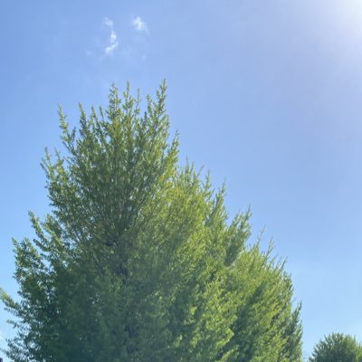 英語勉強中の社会人📚TOEIC 2023.6 720→2024.8 835 目標は900。中国語と手話も気になっています。
