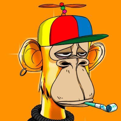 Cookeadjust's profile picture. Back to nature 🌻 | #solana #xrp #parc #avax #eth #btc cryptocurrency 💸 do not fool me