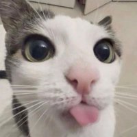 el divino (@eldivino__) 's Twitter Profile Photo el divino (@eldivino__) 's Twitter Profile Photo
