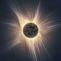 Nick P. Alpha…bet Male (@iamtherealnickp) 's Twitter Profile