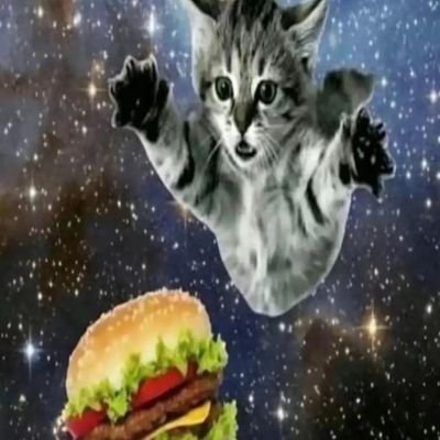 MemeGodLordYT's profile picture. that one person on the internet