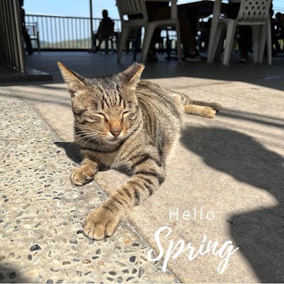 Simplelife2you's profile picture. 