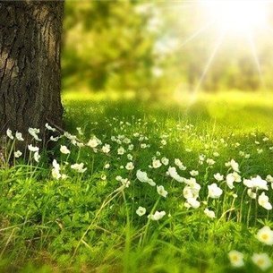 chie57780299978's profile picture. お金を引き寄せる秘訣やお得情報など紹介したりしています。私自身お金に苦労したのでお金に苦しんでいる人を助けたいと思い、わずかですがお金配り企画をしています♬ 支援中▷ https://t.co/trQPbBTysY