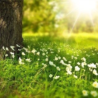 お金に恵まれる方法やお得な情報など紹介中。自分自身お金に苦労したので生活に困窮している人を助けたいと思い、少額ですが現金給付企画をしています☆ なくなり次第終了➡ https://t.co/C8GBurMxym