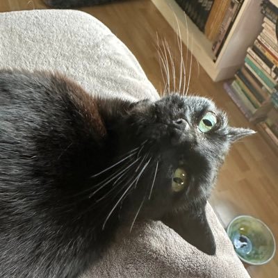 AncaGene's profile picture. phage biology, microbial genetics, genomics, comp bio; SDSU professor/founder Viral Information Institute; cat (& dog &fish & tortoise) lady for #HarrisWalz2024