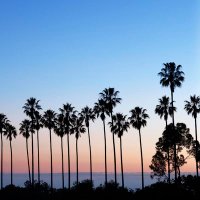 Z (@zzz87656) 's Twitter Profile Photo